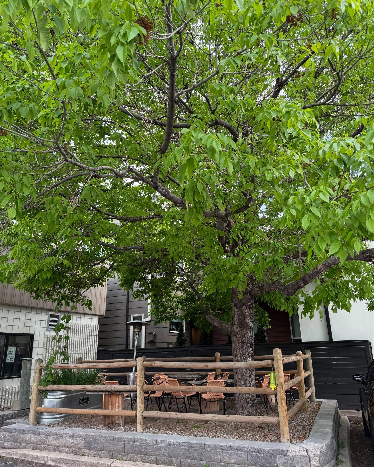 ‼️Important Taproom Updates‼️ Our hours for Memorial Day weekend have changed!
Thursday: 4-9
Friday: Closed
Saturday: 12pm-8pm
Sunday: Closed for a private party