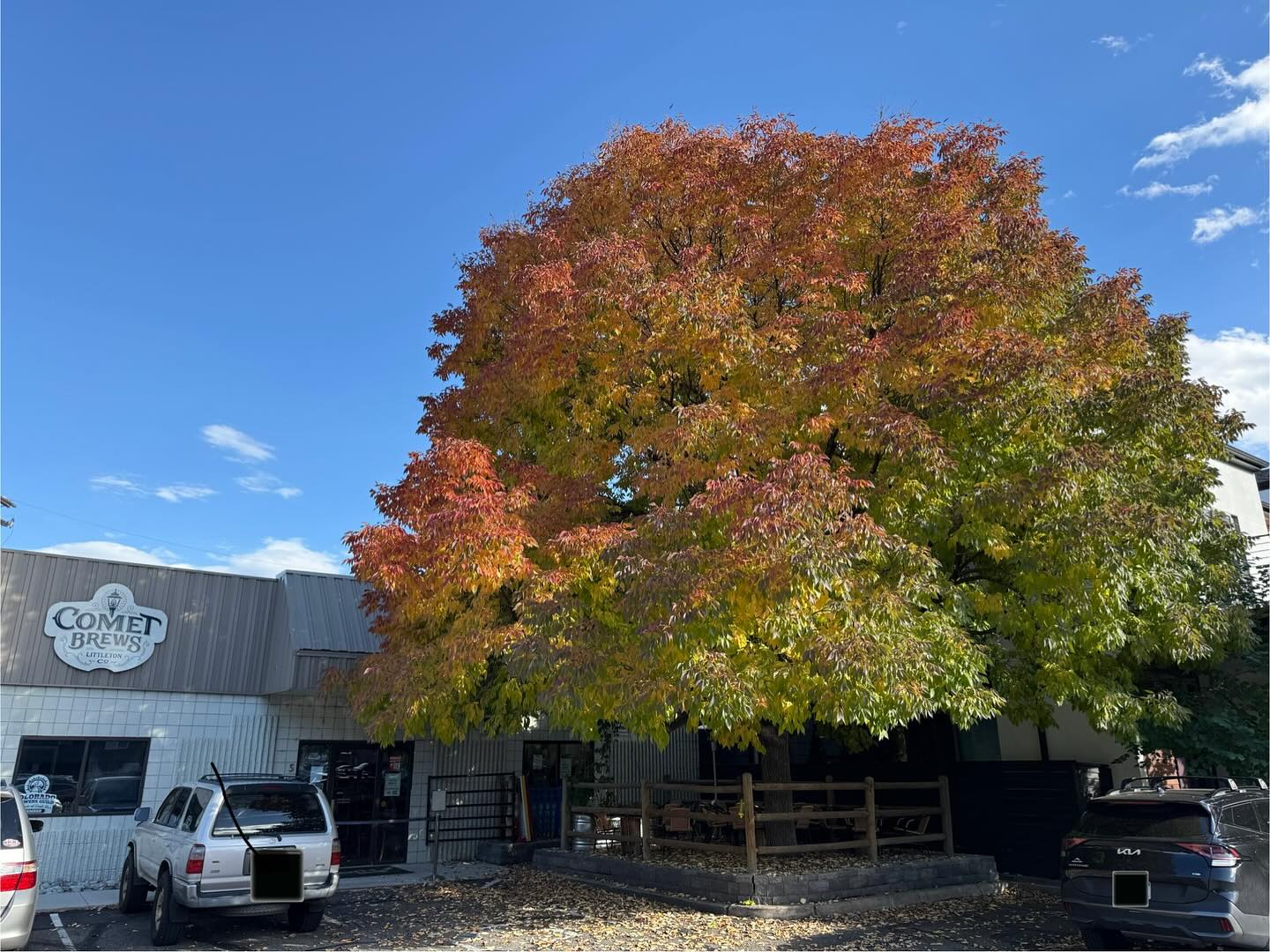 Come down this weekend to Comet Brews and enjoy our peak fall vibes on our awesome patio. Nothing pairs better with fall than a few of our in house brewed beers!
#beer #fall #craftbeer #downtownlittleton